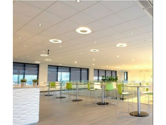 Плита підвісної стелі ARMSTRONG Newtone Residence 600x600х6 мм Board