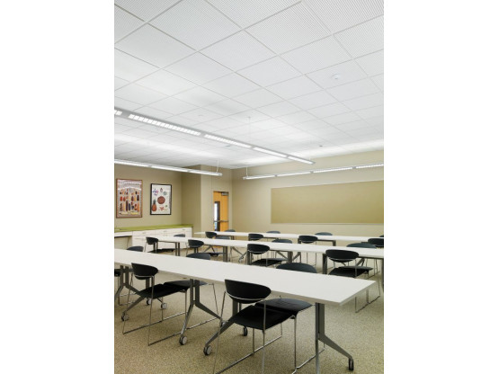 Плита підвісної стелі AMF THERMATEX Varioline Metal 1.0-3.0 600x600х24 мм Vector