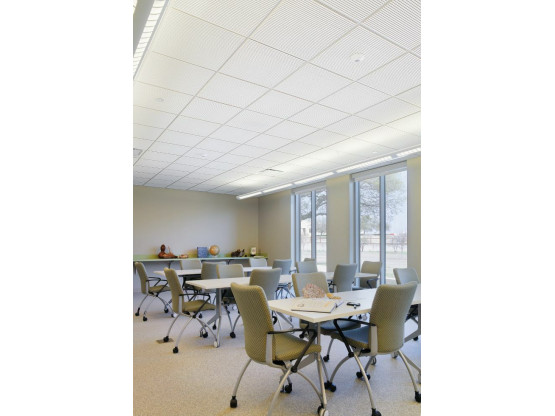 Плита підвісної стелі AMF THERMATEX Varioline Metal 2.5-5.5 600x600х24 мм Vector