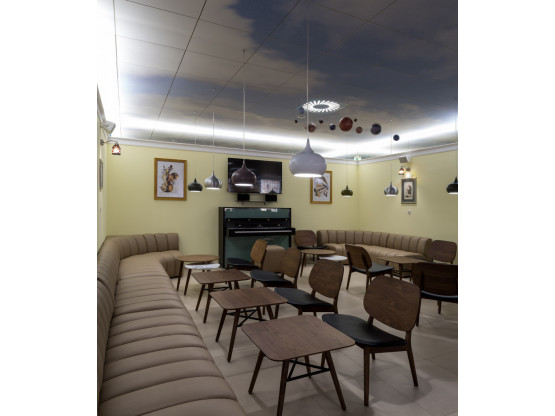 Плита підвісної стелі AMF THERMATEX Varioline Motiv 600x600х24 мм Vector