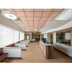 Плита підвісної стелі AMF THERMATEX Varioline Wood Birch 600x600х24 мм Vector