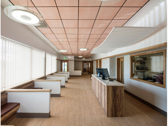 Плита підвісної стелі AMF THERMATEX Varioline Wood Birch 600x600х24 мм Vector