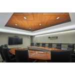 Плита підвісної стелі AMF THERMATEX Varioline Wood Birch 600x600х24 мм Vector