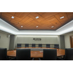 Плита підвісної стелі AMF THERMATEX Varioline Wood Birch 600x600х24 мм Vector