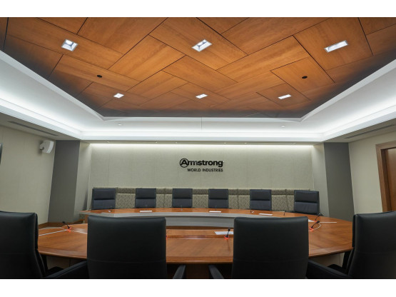 Плита підвісної стелі AMF THERMATEX Varioline Wood Birch 600x600х24 мм Vector