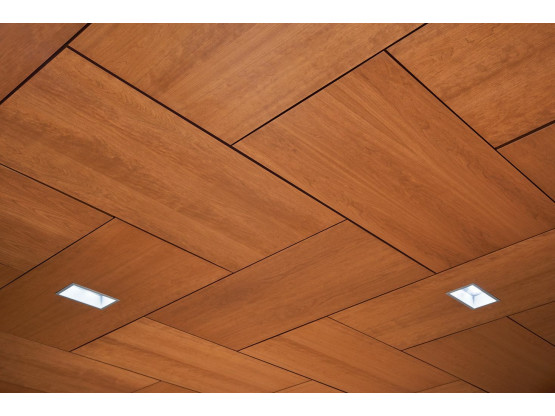 Плита підвісної стелі AMF THERMATEX Varioline Wood Birch 600x600х24 мм Vector