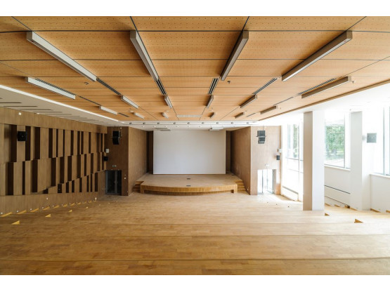 Плита підвісної стелі AMF THERMATEX Varioline Wood Birch 600x600х24 мм Vector