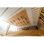 Плита підвісної стелі AMF THERMATEX Varioline Wood Birch 600x600х24 мм Vector