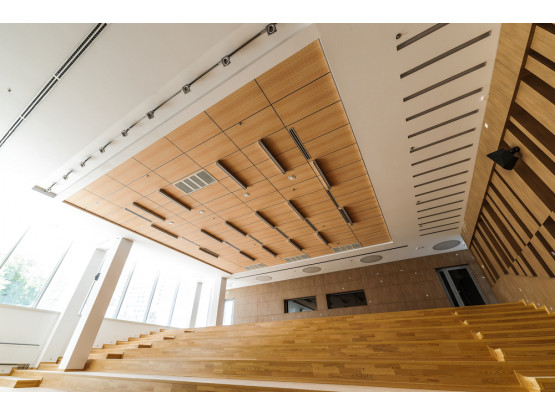 Плита підвісної стелі AMF THERMATEX Varioline Wood Birch 600x600х24 мм Vector