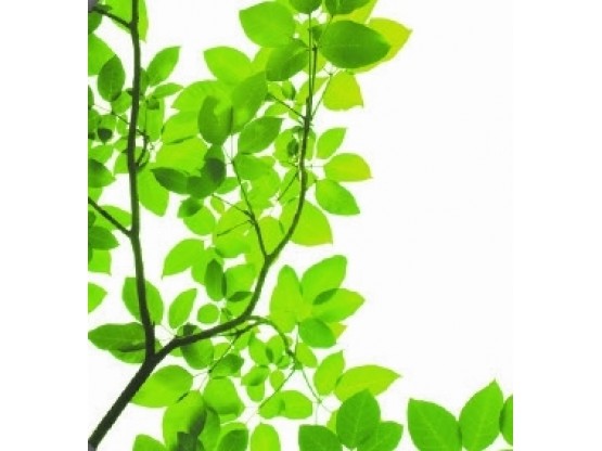 THERMATEX Varioline мотив