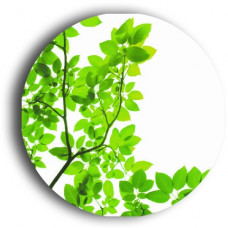 THERMATEX Varioline мотив SF (600 х 600)