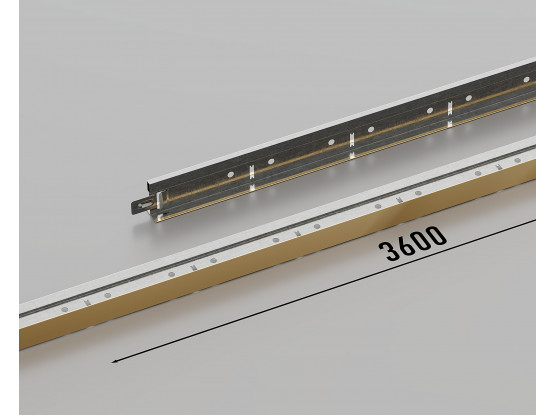 Профіль несучий КЗС T-24 (Золото), 3.6 м