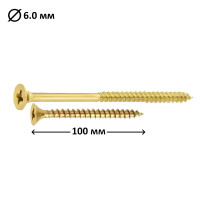 Шуруп універсальний PZ4 6.0x100, 100 шт