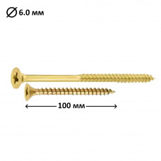 Шуруп універсальний PZ4 гострий 6,0x100 мм, 100 шт