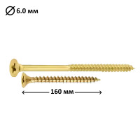 Шуруп універсальний PZ4 6.0x160, 100 шт